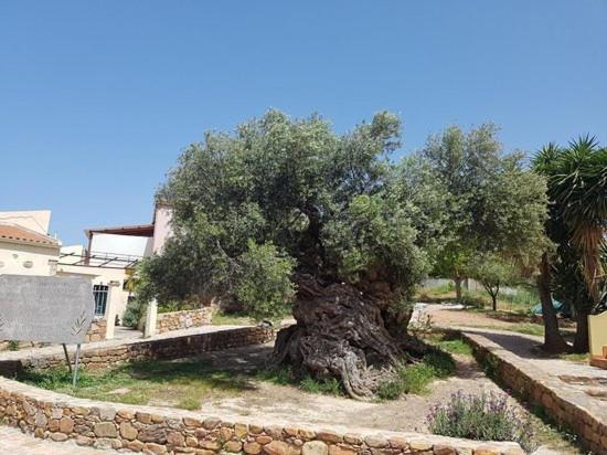 Villa Margarita'S Farm, Private Pool Μαλάθυρος Εξωτερικό φωτογραφία